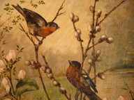 bird plate