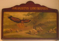 vintage sign advertising