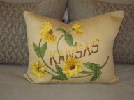 Kansas pillow