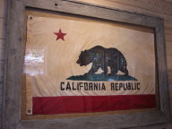 Vintage California flag. Stag horn lamp.