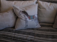 Embroidered pillows